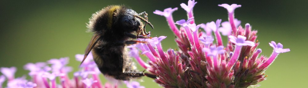 Naturfotografie